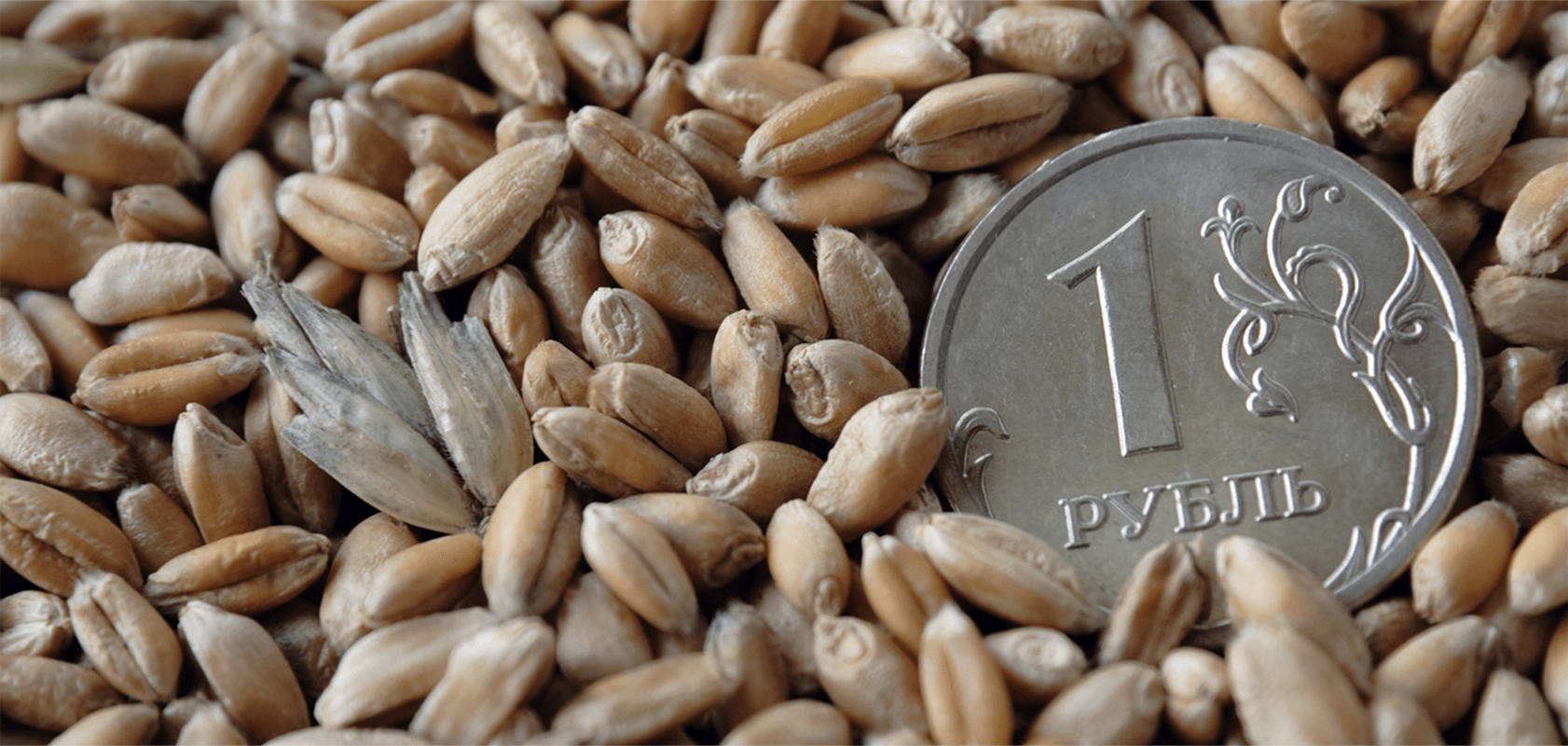 Продать зерно за границу. Сельское хозяйство деньги. Бурт зерна на току. Продать зерно за границу. Пестициды в зерне.