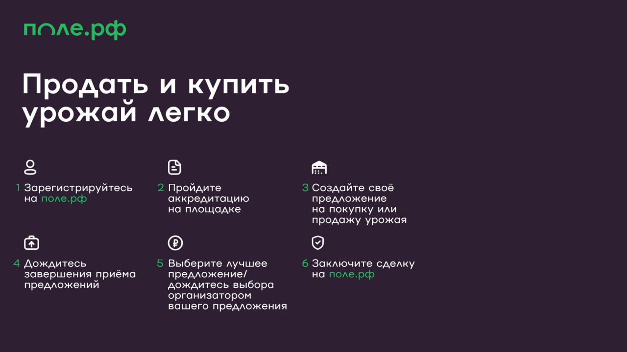 инфографика