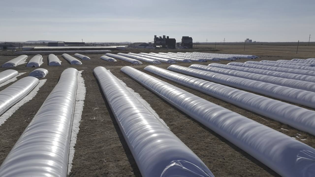 Источник: «Август-Полимер»