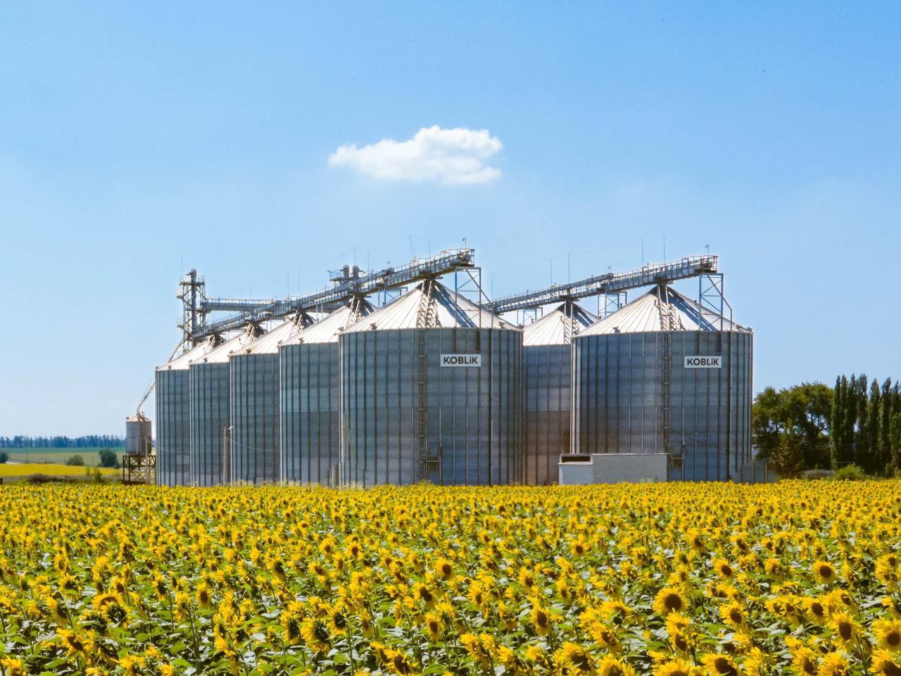 Источник: KOBLiK GROUP