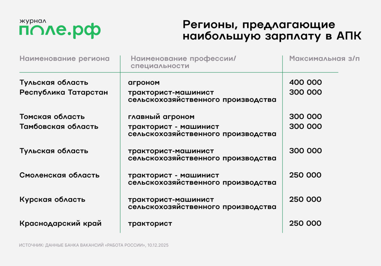 инфографика