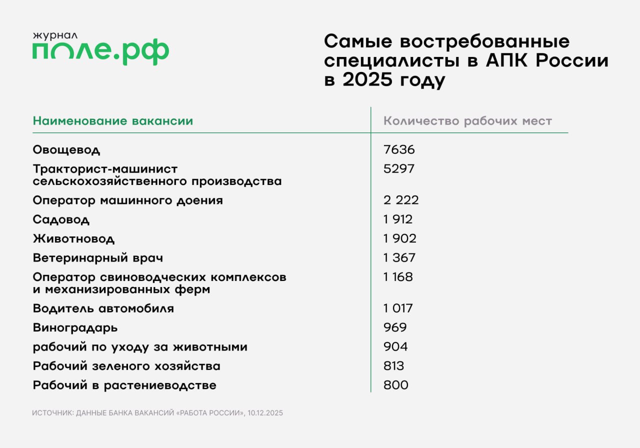 инфографика