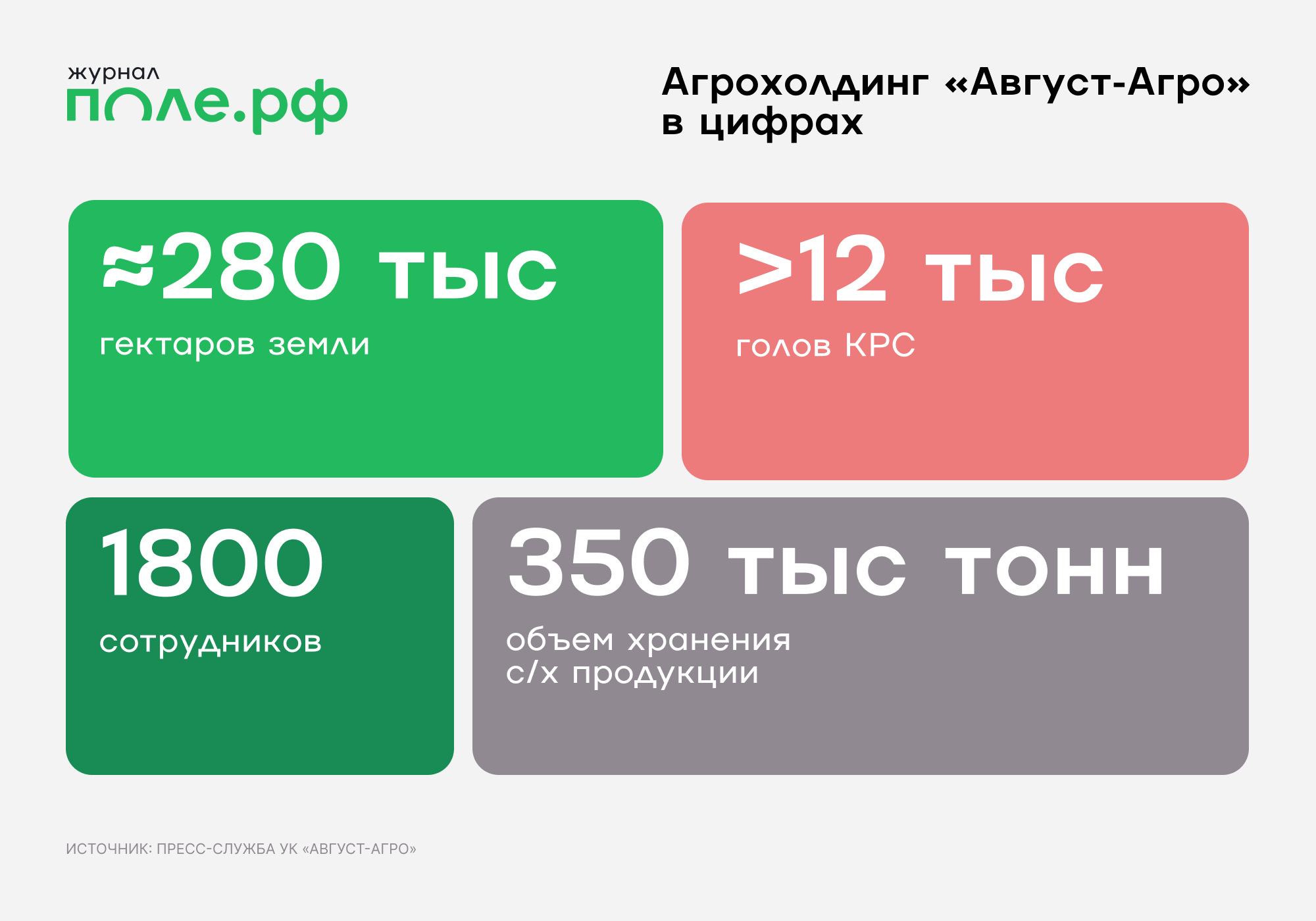 инфографика