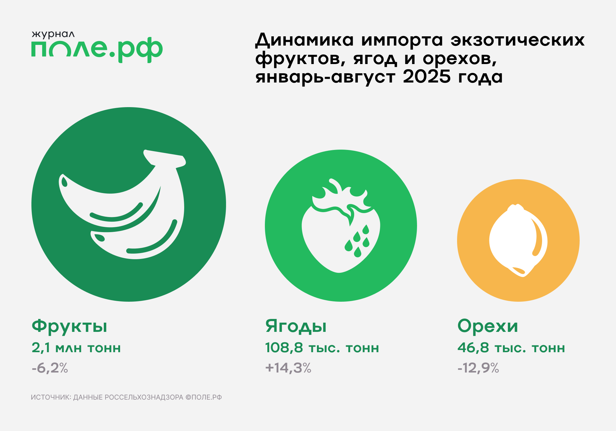инфографика