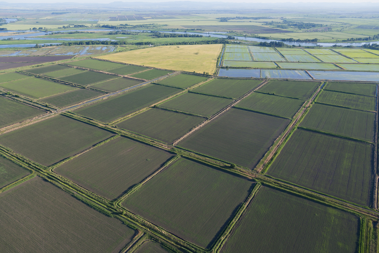 мелиорация