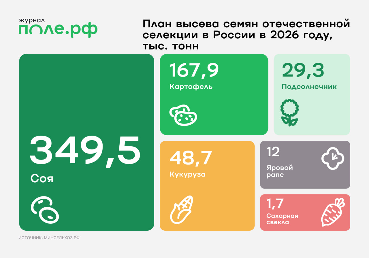 инфографика план высева отечественных семян 2026