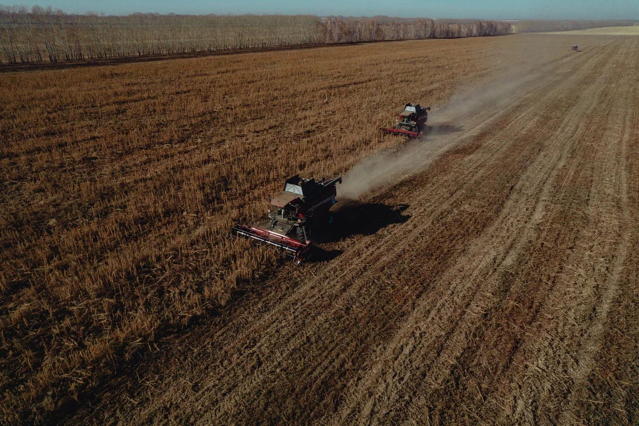 Уборка амаранта. Источник: «АмарантАгро»
