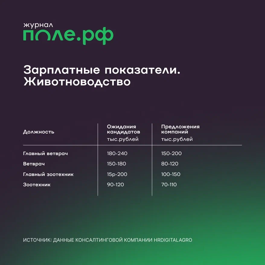 инфографика