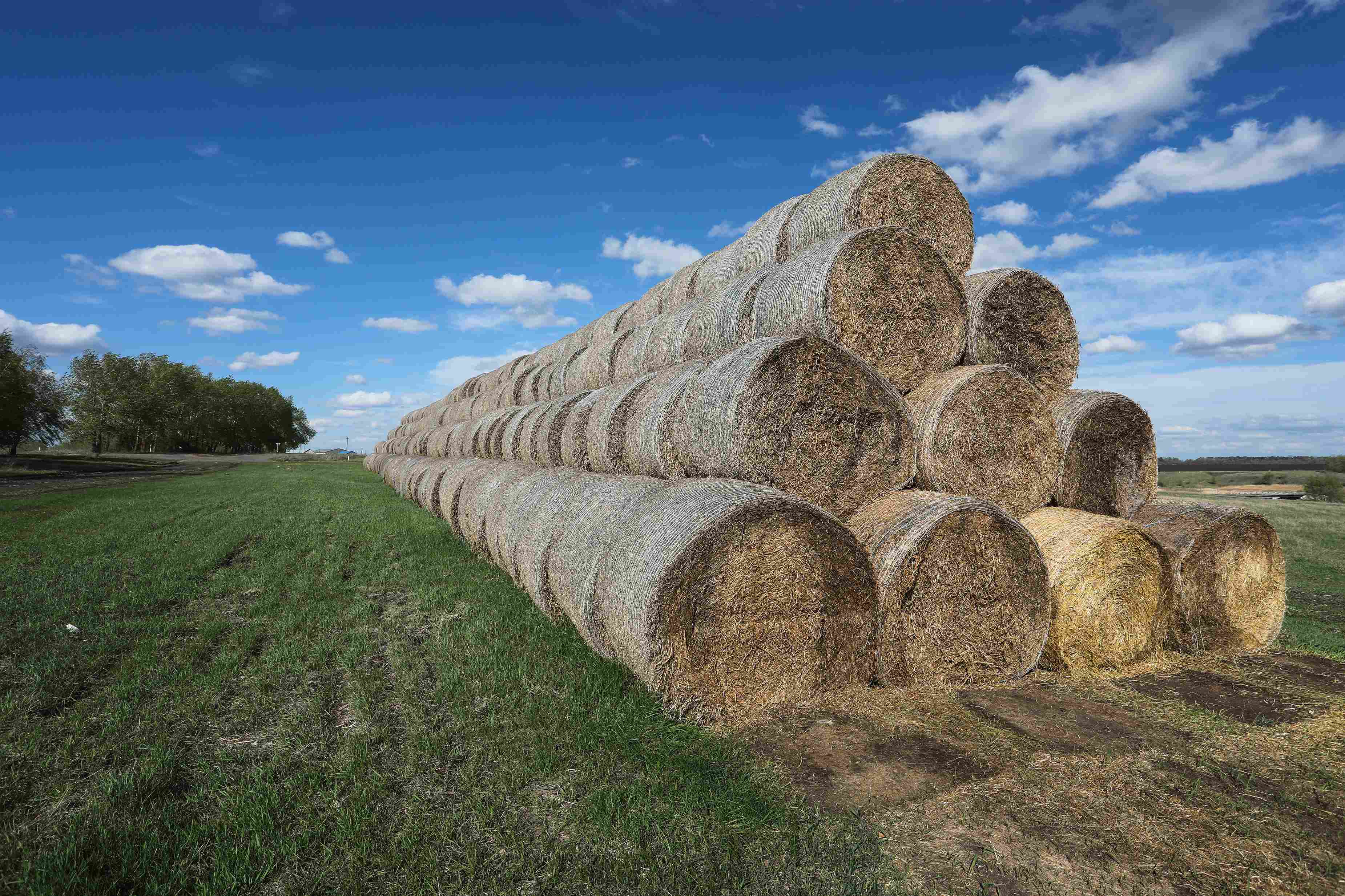 Источник: Поле.РФ