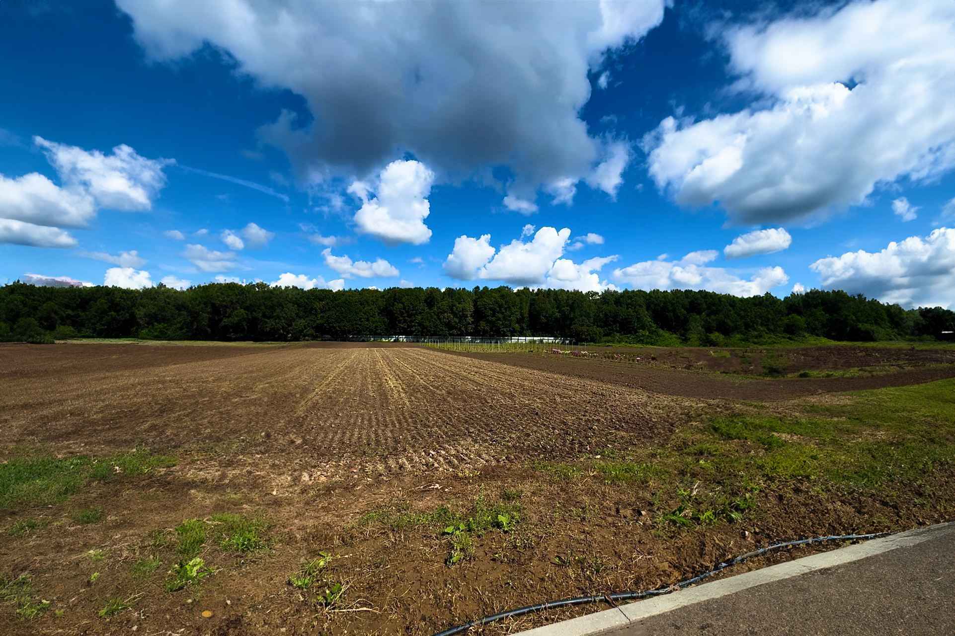 Источник: Поле.РФ