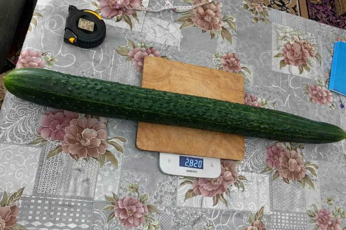 Источник: филиал ФГБУ «ЦОК АПК» в Татарстане