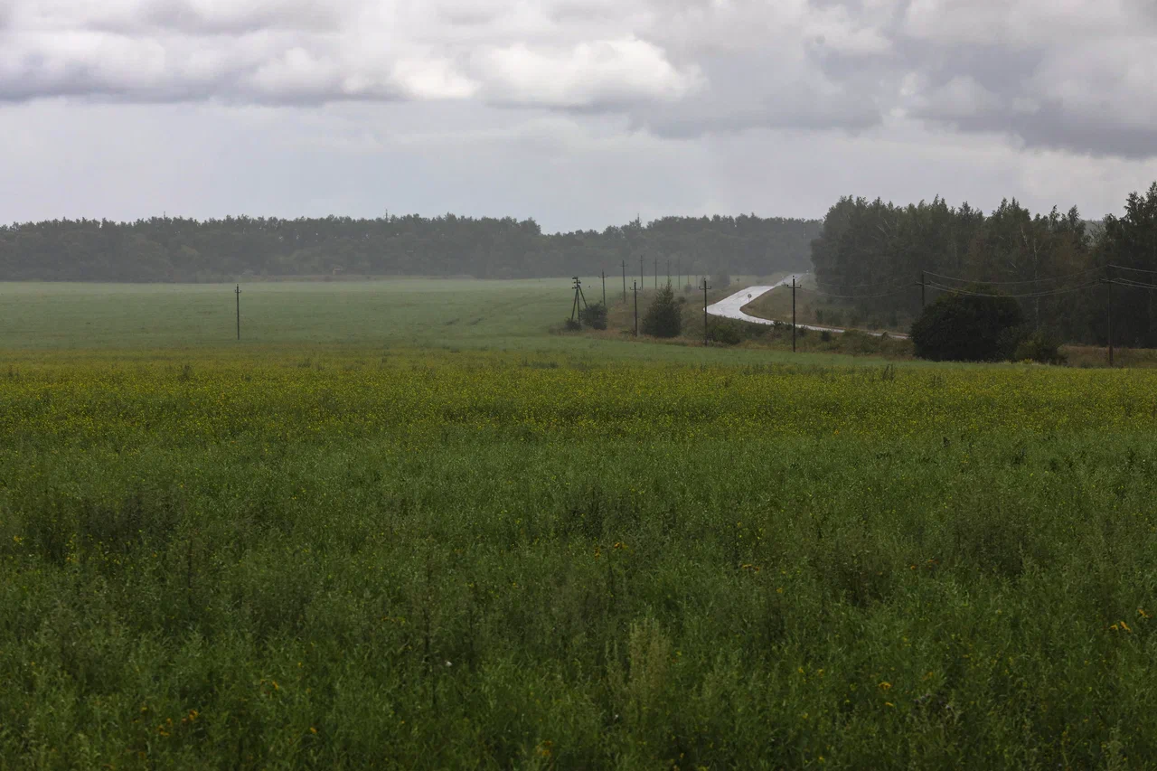 Источник: Поле.РФ