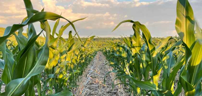 Источник: Личный архив Владимира Плотова