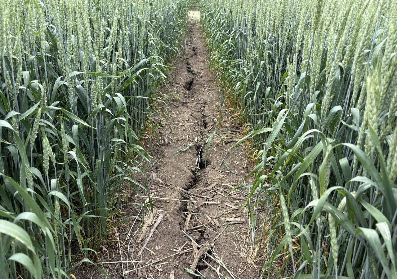 Источник: Поле.РФ