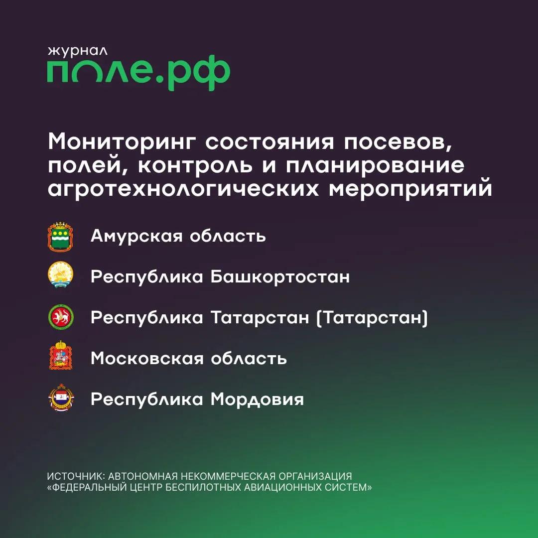 инфографика
