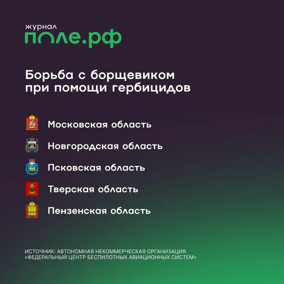 инфографика