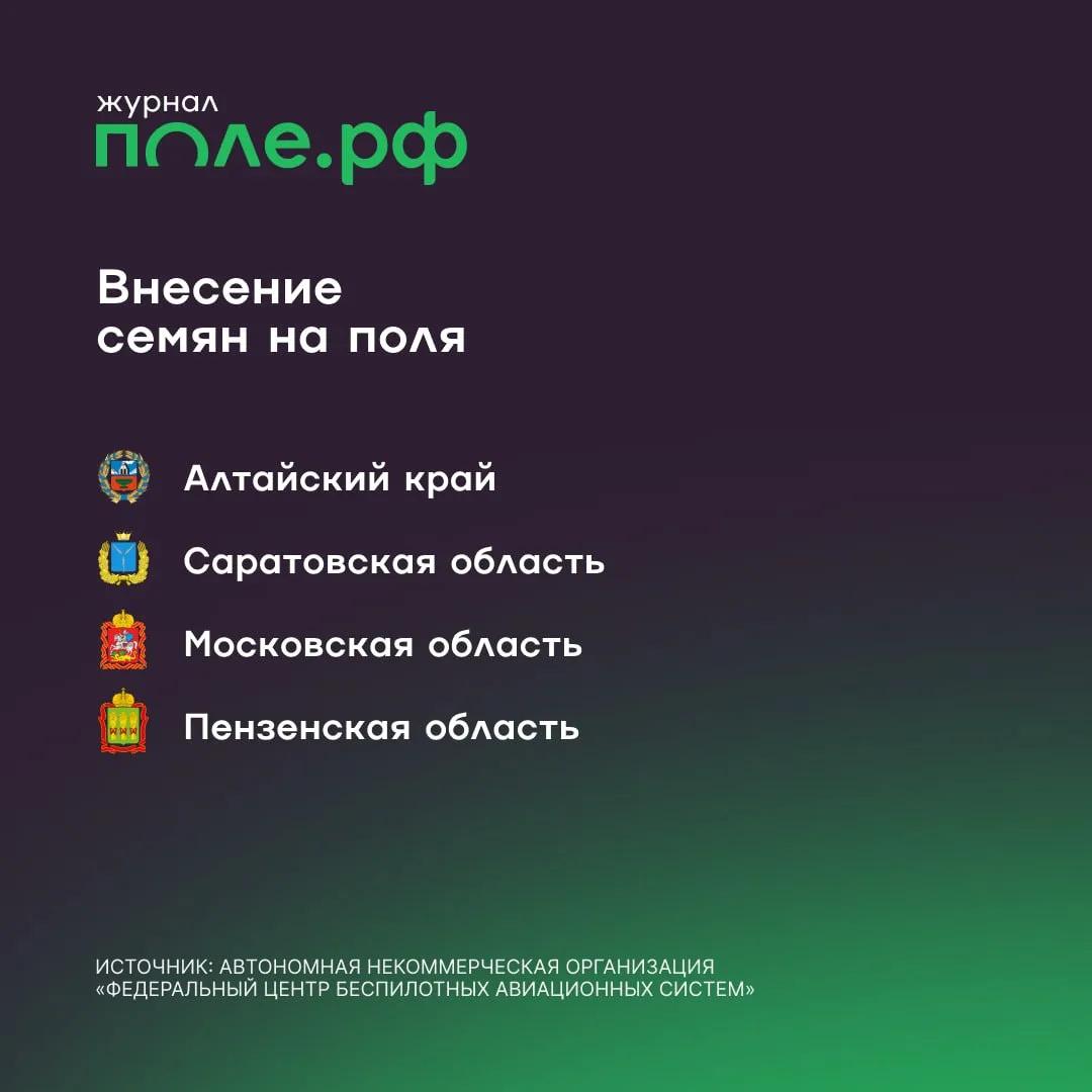 инфографика