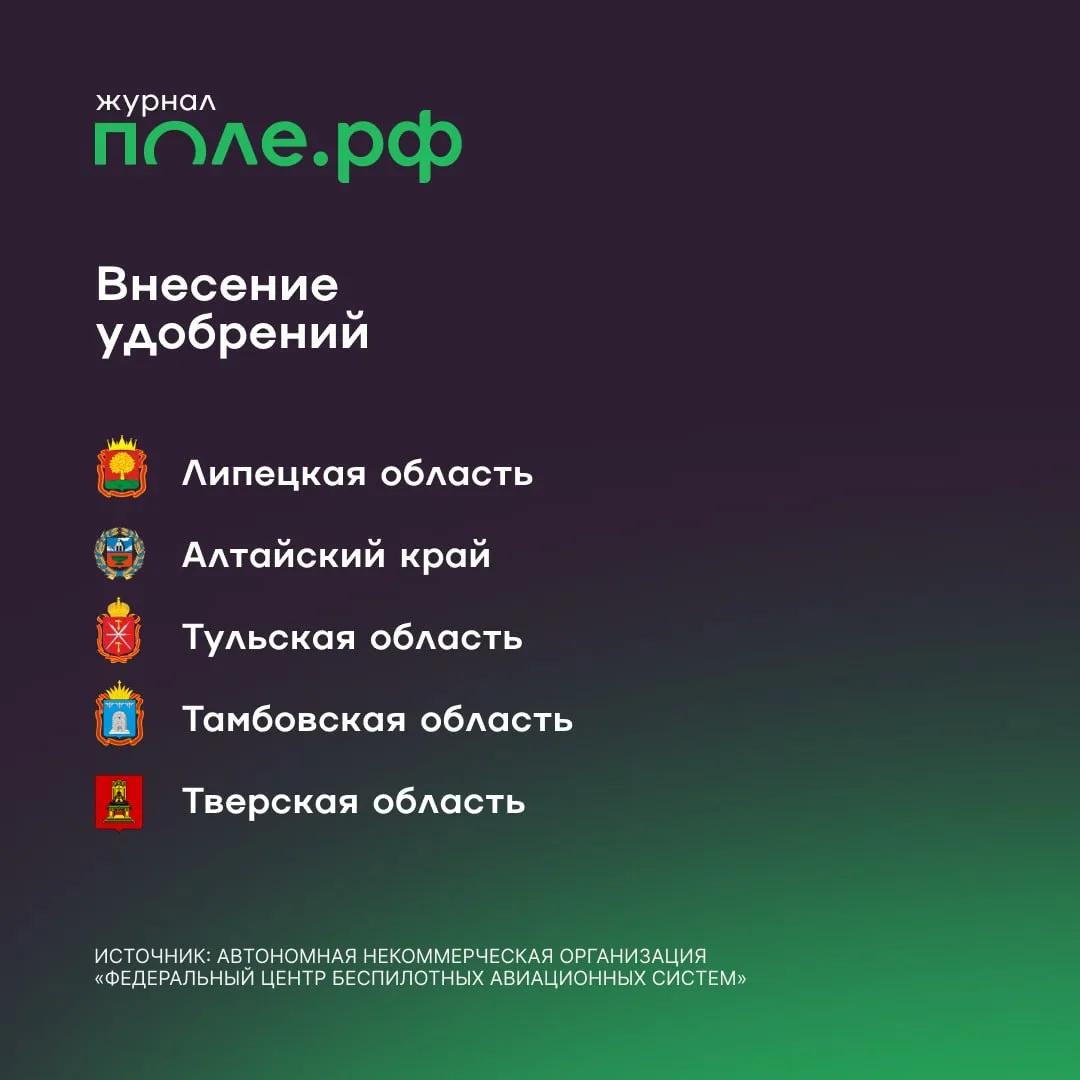 инфографика