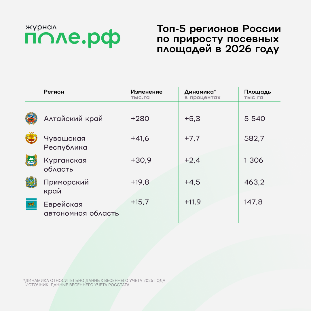 инфографика